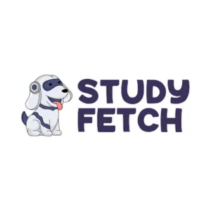 StudyFetch