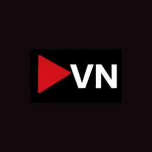 VibeNude logo
