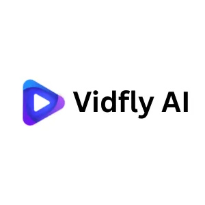 Vidfly AI